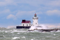 Windy Day at Wendy Park - 2024_8775