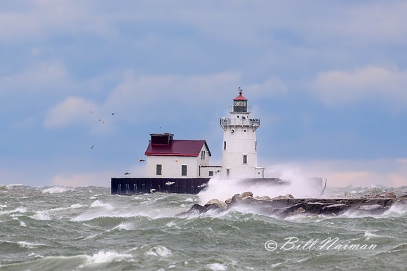 Windy Day at Wendy Park - 2024_8775