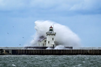 Windy Day at Wendy Park 2024_8994