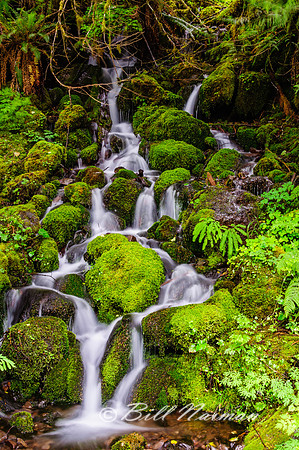 Bunch Falls Section View 1