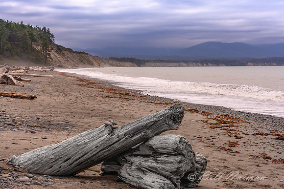 Dungeness Spit (2)
