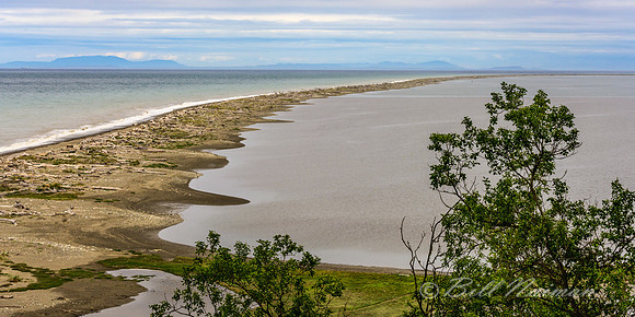 Dungeness Spit (1)