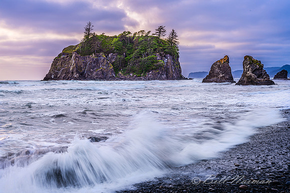 Ruby Beach - 2019