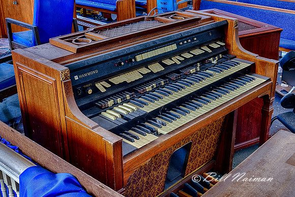 Organ