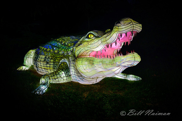 Asian Lantern Festival 2019 - Crocodile
