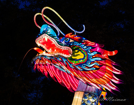 Asian Lantern Festival 2019 - Dragon (3)