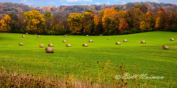 Ohio Hay Rolls