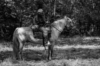 Civil War Reenactment Zoar OH (3)