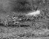 Civil War Reenactment Zoar OH (16)