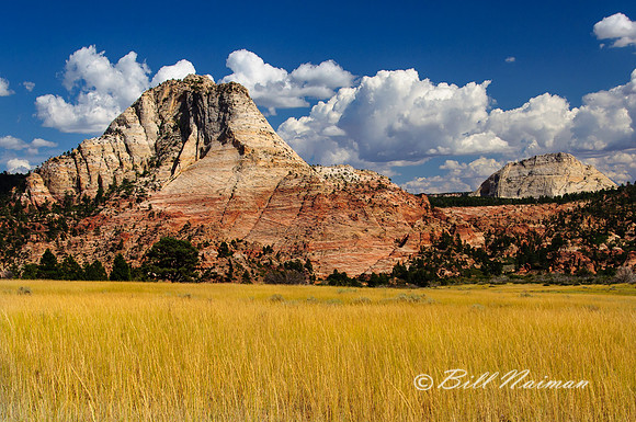 Kolob Terrace Road - 2012