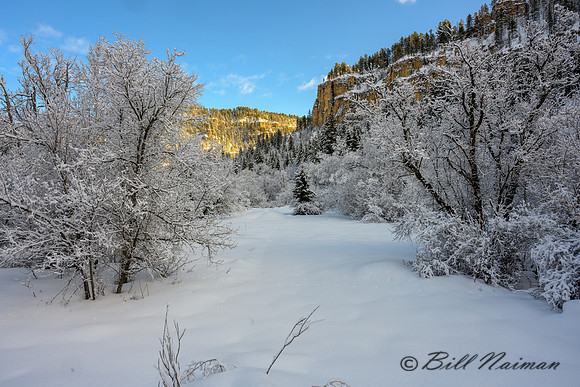 Roughlock Falls Trail (2) - Winter