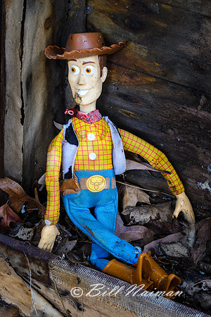 Abandoned House #1 - (8) Woodie
