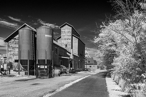 ELZY Milling & Trade LTD (1) - Infrared B&W