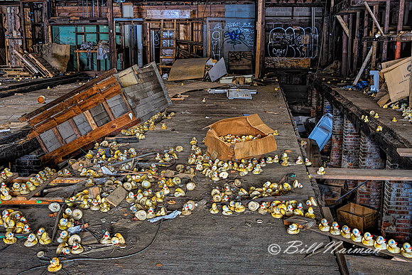 Rubber Duck Warehouse (2)