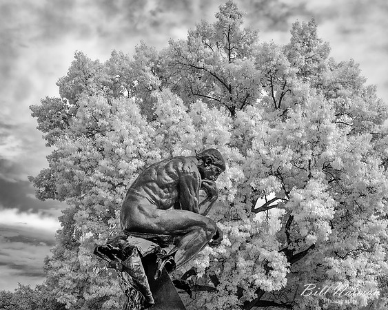 The Thinker IR 720 2023_10_13-7685