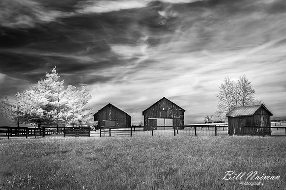 Roadside Barn Kentucky (1) - Infrared B&W