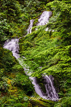 Bunch Falls View 3
