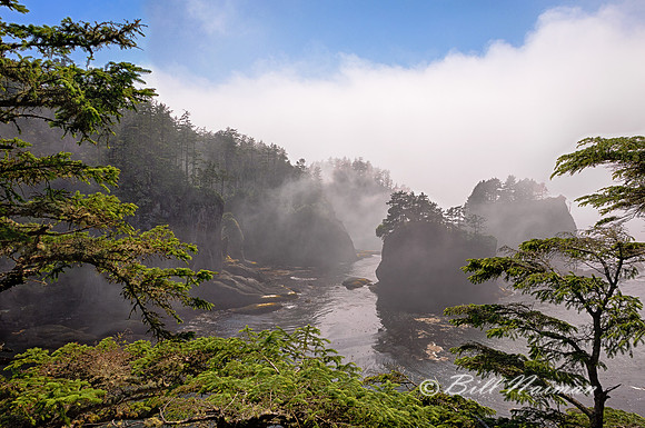 Cape Flattery 38
