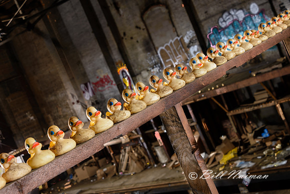 Rubber Duck Warehouse (7)
