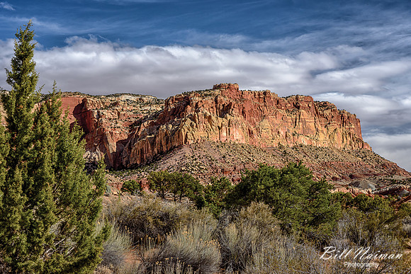 Capitol Reef 2016 (3)