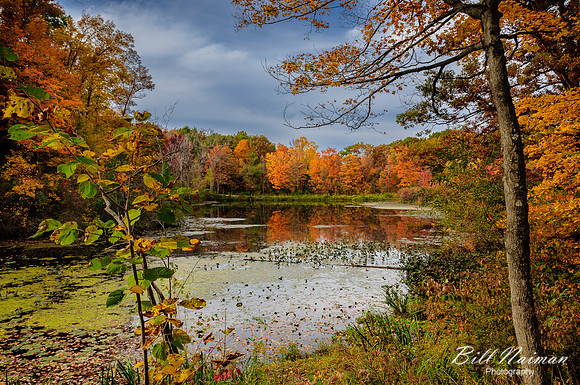 Holden Arboretum Pond - 2