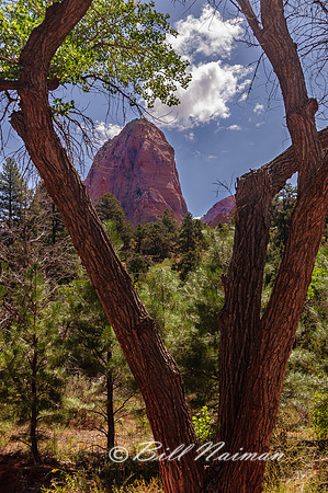 Trail to Calf Creek Falls