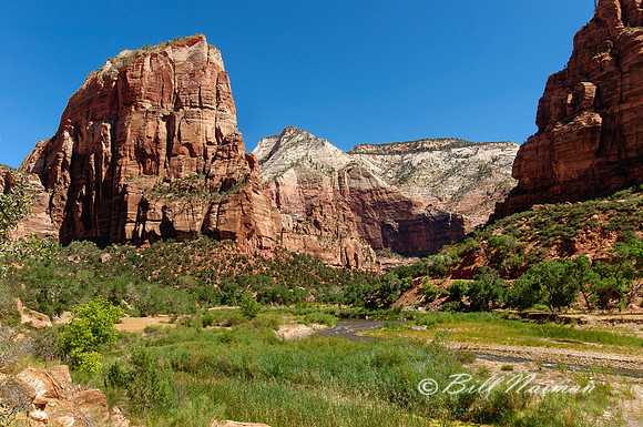 Angel's Landing and Virgin River