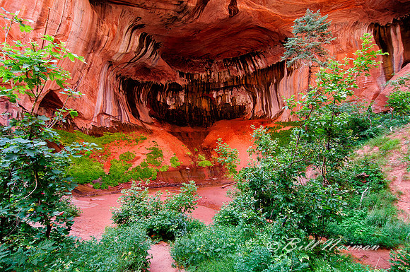 Double Arch Cove