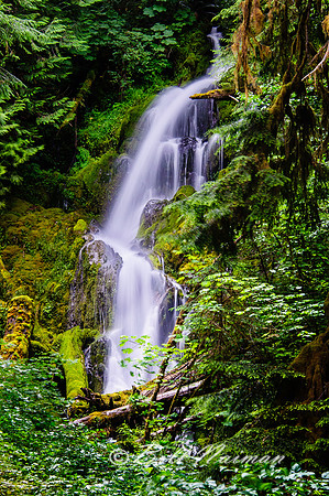 Twin Creek Falls