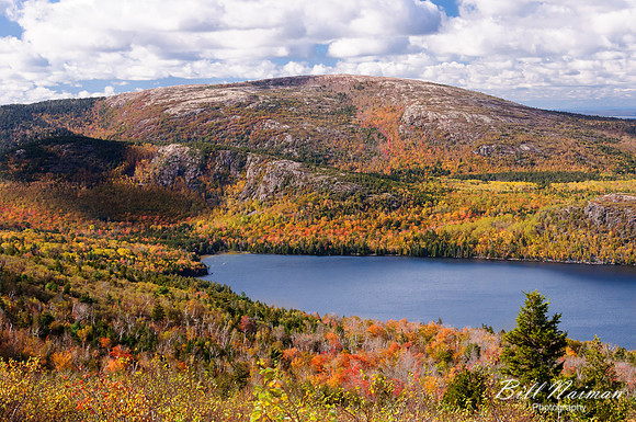 Acadia Coastline (5)