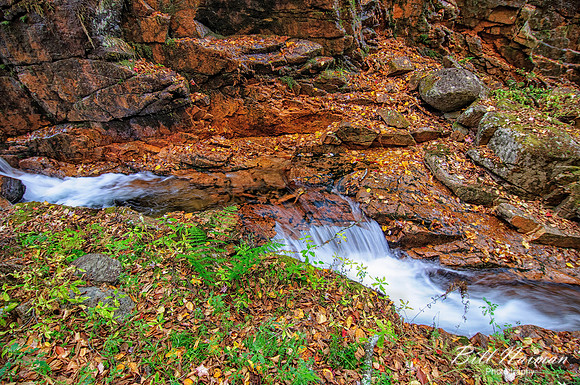 Stream - The Flume (1)