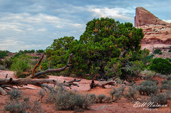 Green River Overlook Vicinity