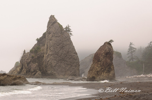 Rialto Beach Sea-Stacks in Fog