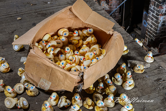 Rubber Duck Warehouse (3)