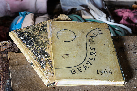 Abandoned House #1 - (12) Yearbook