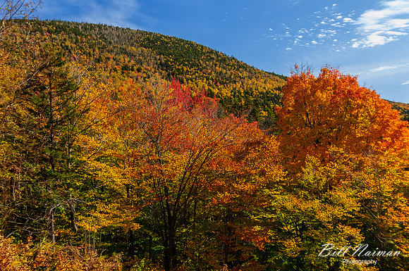 Fall Foliage - New Hampshire (2)