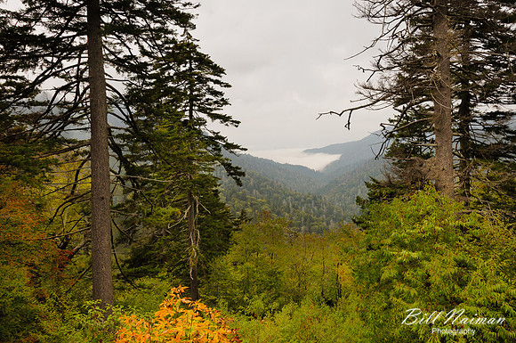 Clingman's Dome - 2011 (2)