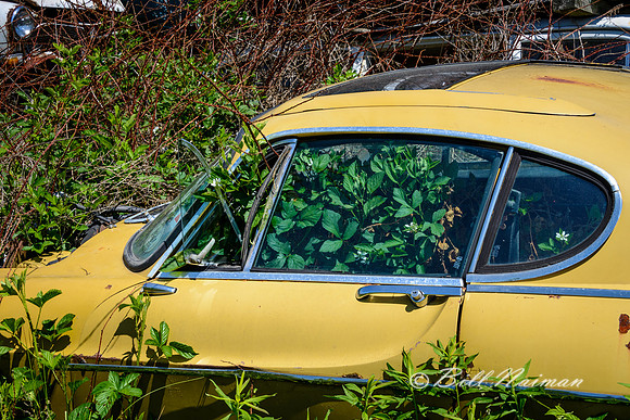 Volvo (12)