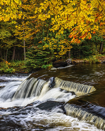 Bond Falls (4)
