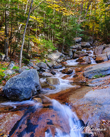 Waterfall - The Flume (2)