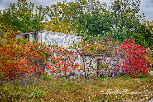 Abandoned Trailer Park - (1)