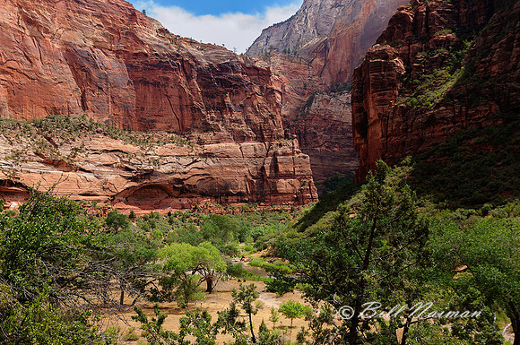 Trail to Calf Creek Falls