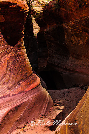 Slot Canyon - Observation Trail