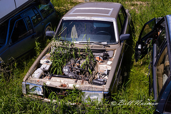Volvo (14)