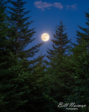 Spruce Knob - Full Moon (2) - 2016