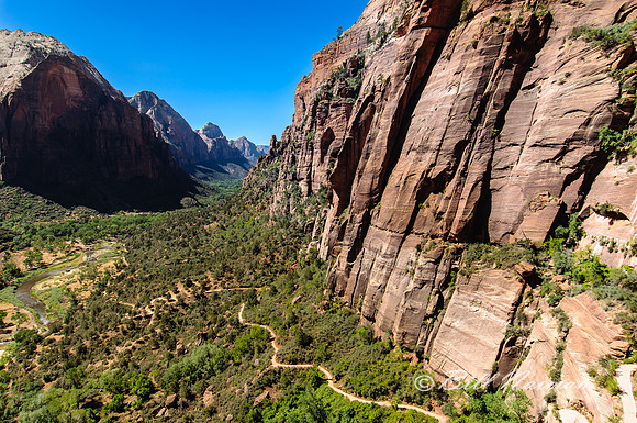 View from Angels Landing Trail