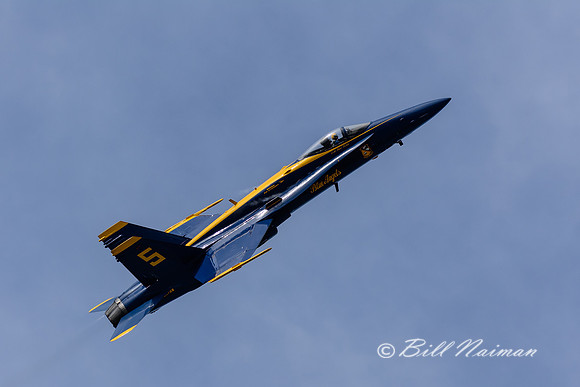 Cleveland Airshow 2014 - Blue Angles (14)
