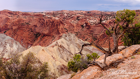 Upheaval Dome 3