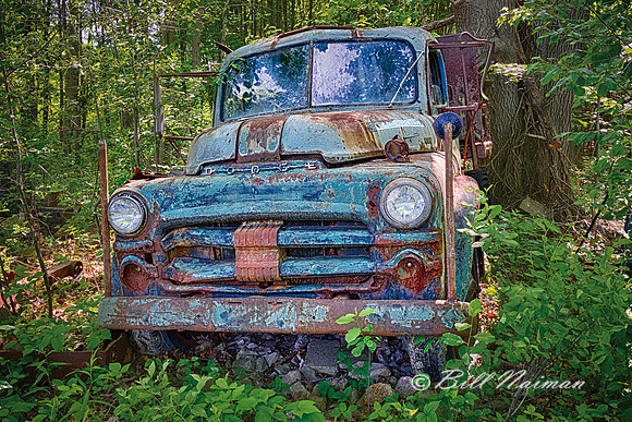 Dodge (1)