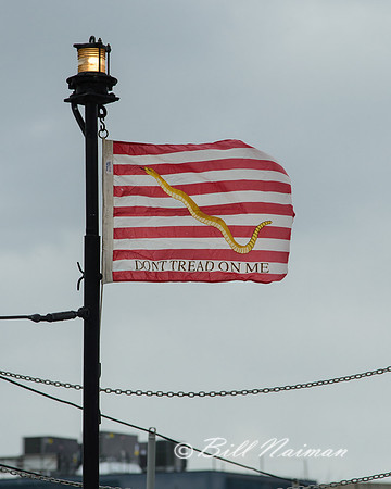 USS Cod (8)